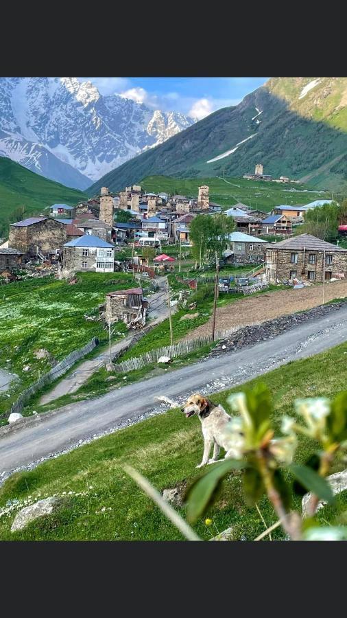 Chvibiani Guesthouse & Bar Ushguli Bagian luar foto