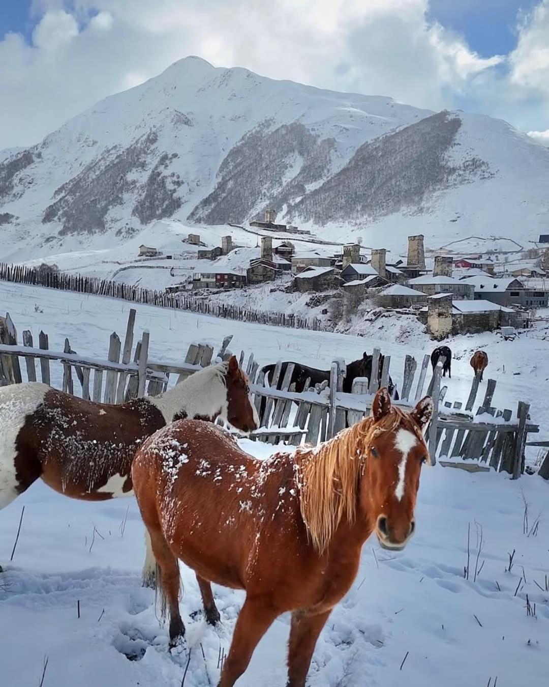 Chvibiani Guesthouse & Bar Ushguli Bagian luar foto