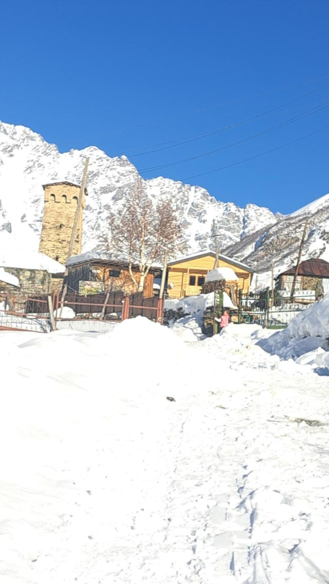 Chvibiani Guesthouse & Bar Ushguli Bagian luar foto