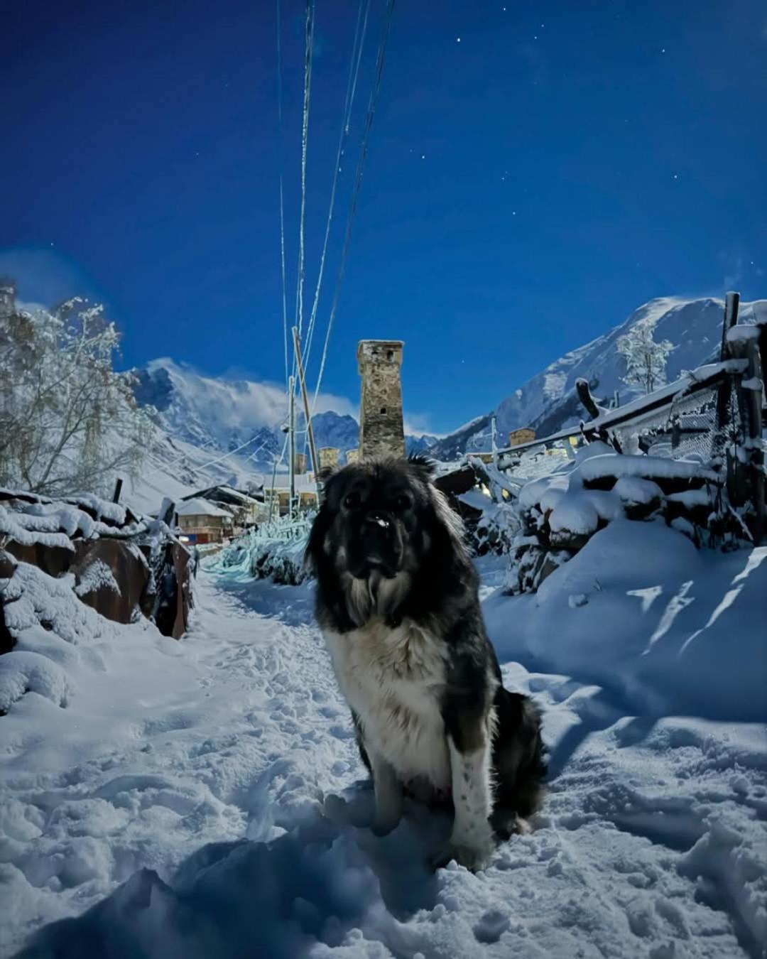Chvibiani Guesthouse & Bar Ushguli Bagian luar foto